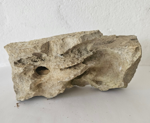 Felsen Nr.1 6