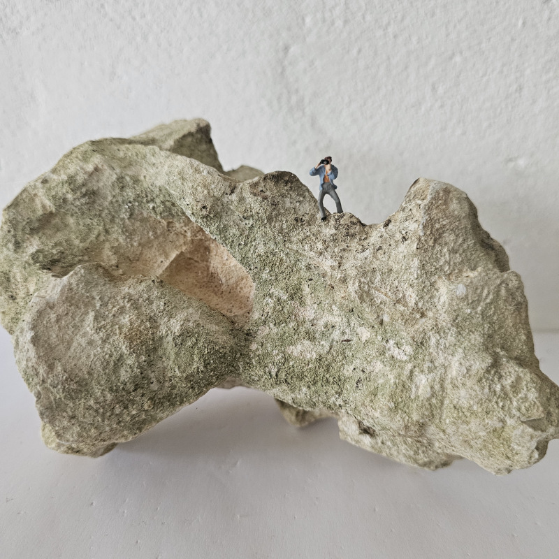 Felsen Nr.2 8