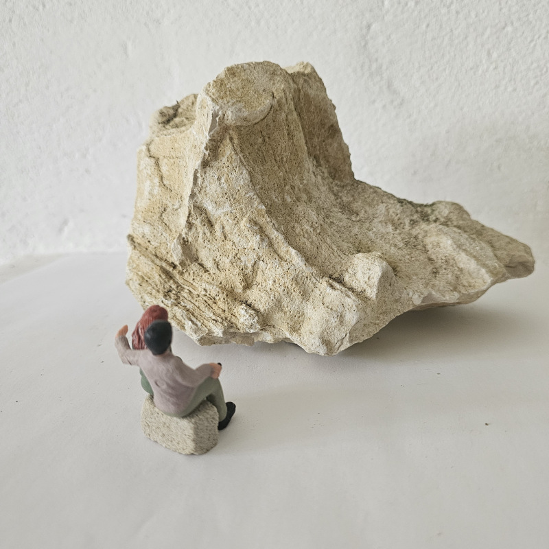 Felsen Nr.2 5