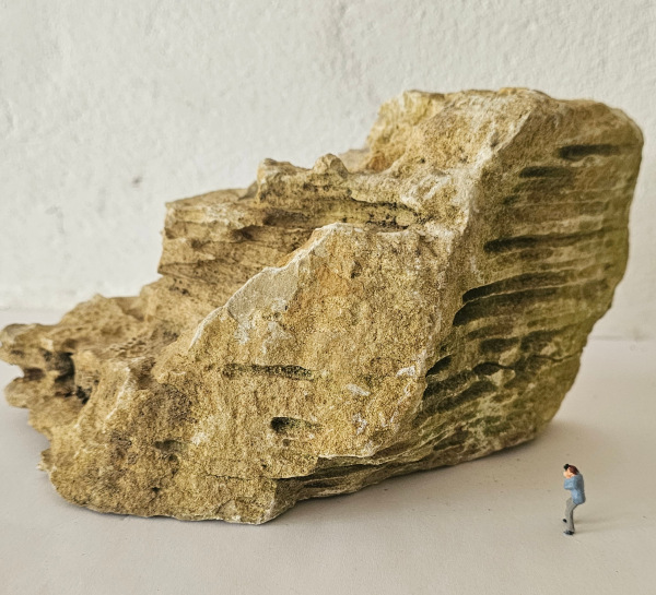 Felsen Nr.3 11