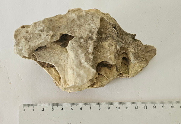 Felsen Nr.5 3